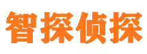 临淄外遇调查取证